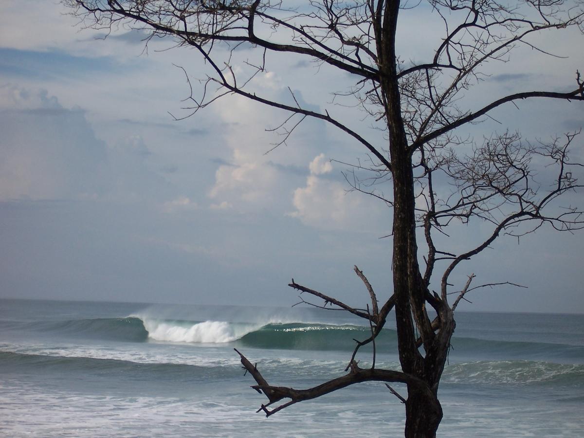 Santa Teresa Surf Vista Villas Playa Santa Teresa  Zewnętrze zdjęcie